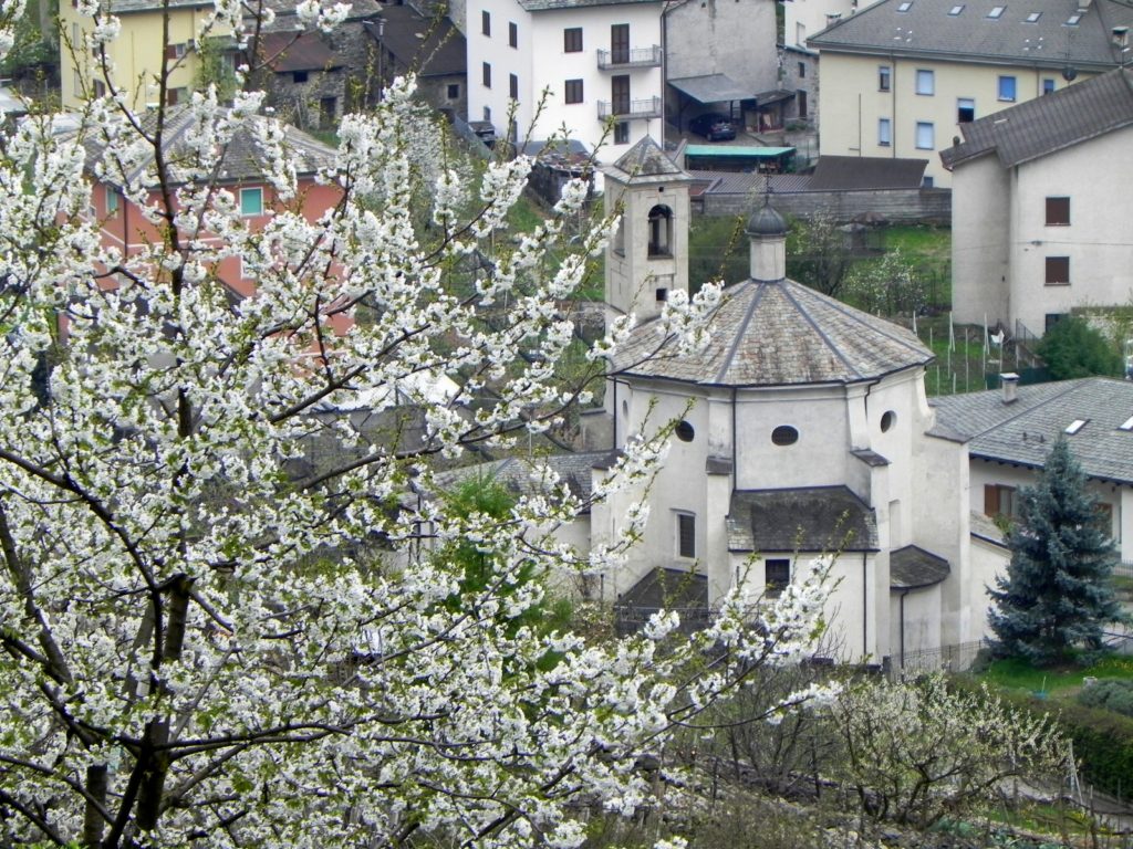 桜と教会