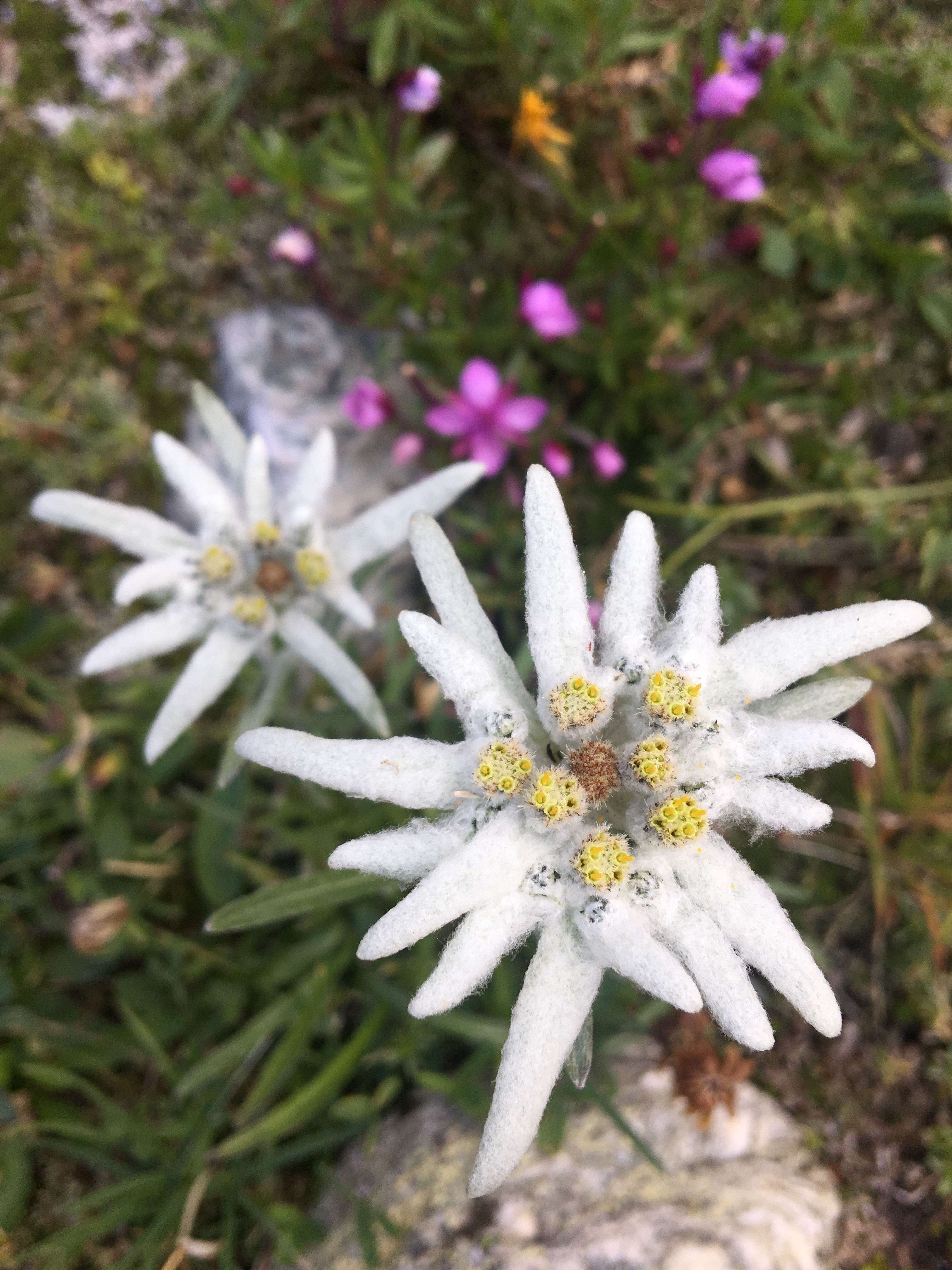 7977FB94-6563-4E18-B057-